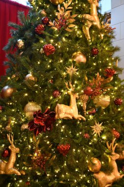 KISSIMMEE, FL - DEC 25: Christmas decor at Gaylord Palms Resort & Convention Center in Kissimmee, Florida, as seen on Dec 25, 2022.