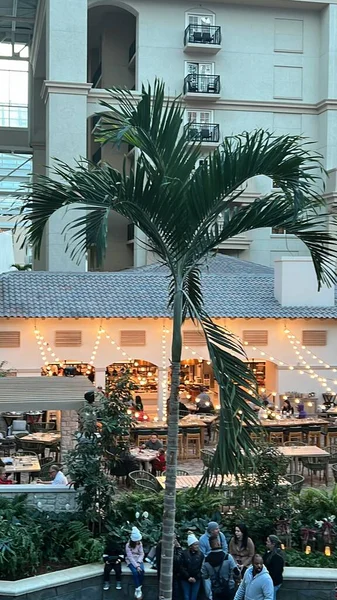 Kissimmee Dec Christmas Decor Gaylord Palms Resort Convention Center Kissimmee — Fotografia de Stock