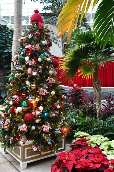 Kissimmee Dec Christmas Decor Gaylord Palms Resort Convention Center Kissimmee — Foto de Stock