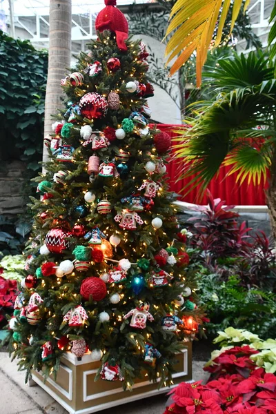 Kissimmee Dec Christmas Decor Gaylord Palms Resort Convention Center Kissimmee — 图库照片