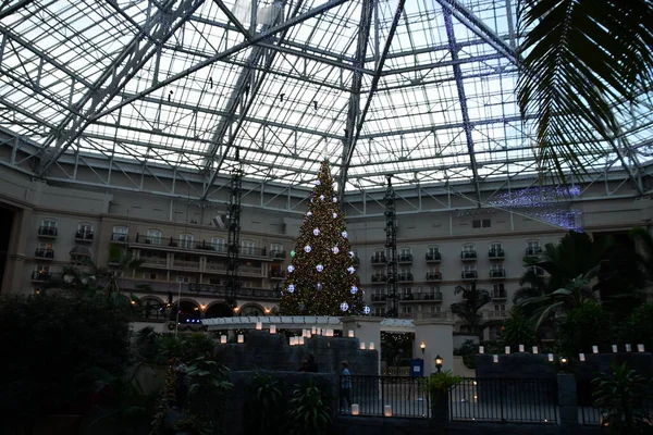Kissimmee Dec Christmas Decor Gaylord Palms Resort Convention Center Kissimmee — 스톡 사진