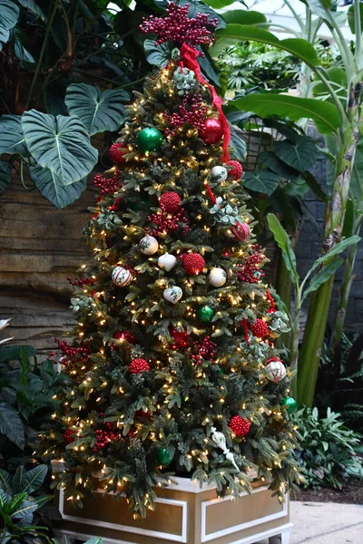 Kissimmee Dec Christmas Decor Gaylord Palms Resort Convention Center Kissimmee — 图库照片