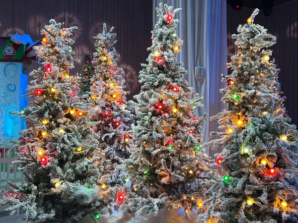 Kissimmee Dec Christmas Market Gaylord Palms Resort Convention Center Kissimmee — 스톡 사진