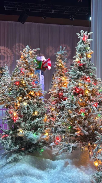 Kissimmee Dec Christmas Market Gaylord Palms Resort Convention Center Kissimmee — Fotografia de Stock