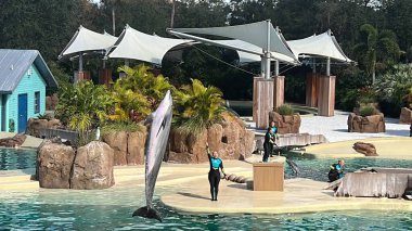 ORLANDO, FL NOV 27: Yunus Maceraları gösterisi 29 Aralık 2022 'de Florida' da SeaWorld Orlando 'da görüldü. Bu bir tema ve deniz zooloji parkı. Canlı gösteriler ve gezintiler ve hayvan sergileri de dahil olmak üzere birçok eğlence alanı var..