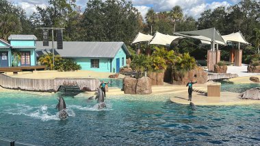 ORLANDO, FL NOV 27: Yunus Maceraları gösterisi 29 Aralık 2022 'de Florida' da SeaWorld Orlando 'da görüldü. Bu bir tema ve deniz zooloji parkı. Canlı gösteriler ve gezintiler ve hayvan sergileri de dahil olmak üzere birçok eğlence alanı var..