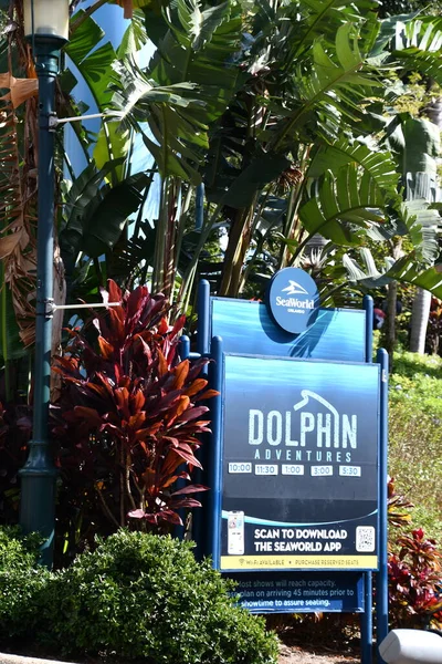 Orlando Nov Delphin Adventures Show Bei Seaworld Orlando Florida Gesehen — Stockfoto