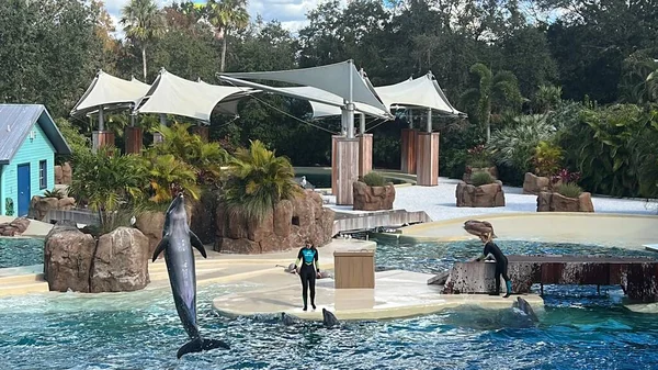 フロリダ州オーランド11月27日 2022年12月29日に見られるように フロリダ州のシーワールドオーランドでイルカアドベンチャーショー 乗り物や動物展示など多くのライブショーやアトラクションがあるテーマパークや海洋動物園です — ストック写真