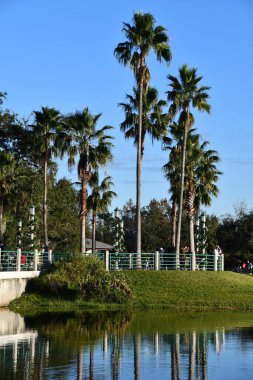 27 Aralık 2022 'de Florida' daki Kutlama Kasabası Merkezi 'nde görüldü..