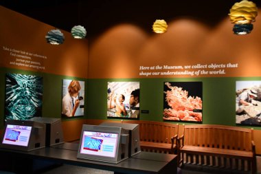 WASHINGTON DC - 26. SEP: 26 Eylül 2021 'de Washington DC' deki Smithsonian Ulusal Doğal Tarih Müzesi.