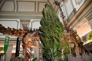 WASHINGTON DC - 26. SEP: 26 Eylül 2021 'de Washington DC' deki Smithsonian Ulusal Doğal Tarih Müzesi.
