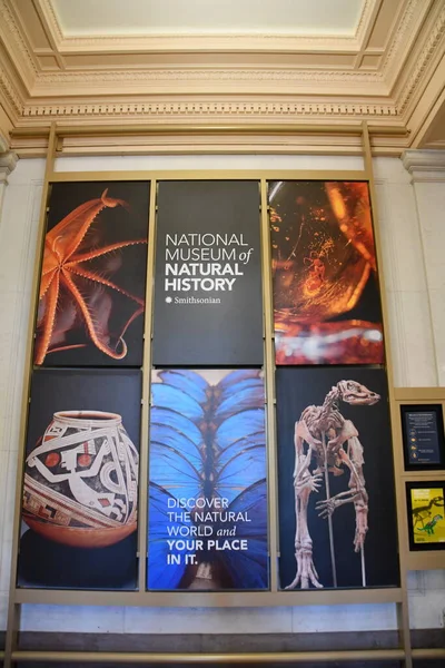 华盛顿 Sep 位于华盛顿特区的史密森国家自然历史博物馆 2021年9月26日展出 — 图库照片