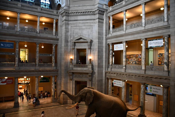 ВАШИНГТОН - 26 сентября 2021 года в Смитсоновском национальном музее естественной истории в Вашингтоне.