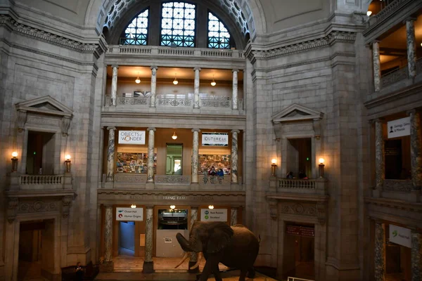 Вашингтон Сентября 2021 Года Смитсоновском Национальном Музее Естественной Истории Вашингтоне — стоковое фото