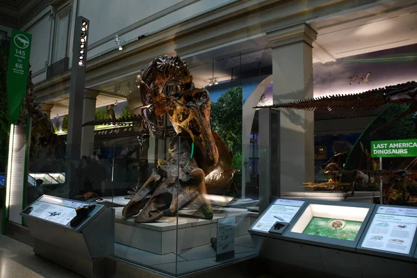 Washington Sep Εθνικό Μουσείο Φυσικής Ιστορίας Σμιθσόνιαν Στην Ουάσιγκτον Όπως — Φωτογραφία Αρχείου