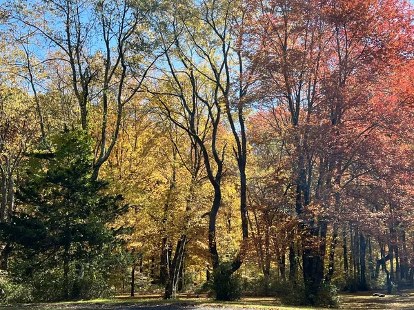 Herbstfarben Redding Connecticut — Stockfoto