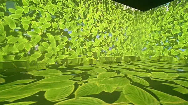 New York Mart 2023 New York Monets Garden Immersive Experience — Stok fotoğraf