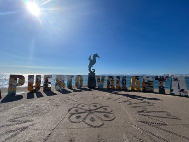 PUERTO VìRTA, MEXICO - 11 Nisan 2023 'te Meksika' nın Puerto Vallarta kentindeki Malecon 'da Rafael Zamarripa' nın Deniz Atında Çocuk heykeli.