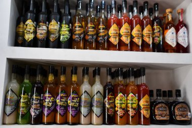 PUERTO Vå RTA, MEXICO - 11 Nisan 2023 tarihinde görüldüğü üzere, Puerto Vallarta, Meksika 'daki Mercado Municipal de Ro Cuale (Pazar).