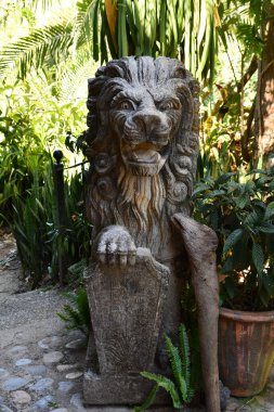 PUERTO VìRTA, MEXICO - 11 Nisan 2023 'te görüldüğü üzere Puerto Vallarta, Meksika' daki Vallarta Botanik Bahçeleri.