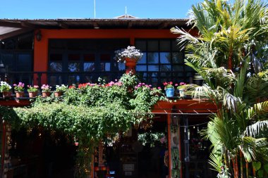 PUERTO VìRTA, MEXICO - 11 Nisan 2023 'te görüldüğü üzere Puerto Vallarta, Meksika' daki Vallarta Botanik Bahçeleri.