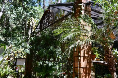 PUERTO VìRTA, MEXICO - 11 Nisan 2023 'te görüldüğü üzere Puerto Vallarta, Meksika' daki Vallarta Botanik Bahçeleri.