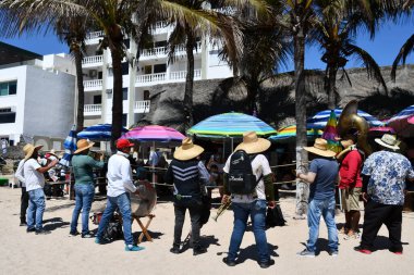 MAZATLAN, MEXICO - 12 Nisan 2023 'te Meksika' nın Mazatlan kentindeki Zona Dorada 'da canlı müzik.