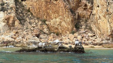 Cabo San Lucas, Meksika 'da El Arco (The Arch) kaya oluşumları