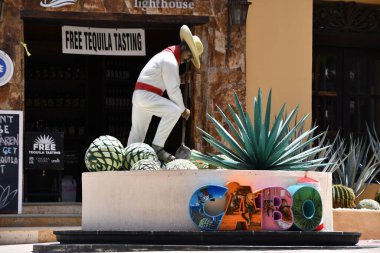 CABO SAN LUCAS, MEXICO - 13 Nisan 2023 'te Cabo San Lucas, Meksika' da görüldüğü gibi.