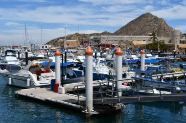 CABO SAN LUCAS, MEXICO - 13 Nisan 2023 'te Cabo San Lucas, Meksika' da görüldüğü gibi.