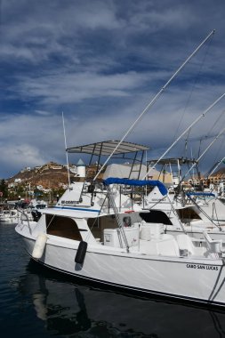 CABO SAN LUCAS, MEXICO - 13 Nisan 2023 'te Cabo San Lucas, Meksika' da görüldüğü gibi.
