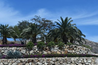 SAN JOSE DEL CABO, MEXICO - 13 NİSAN: 13 Nisan 2023 'te görüldüğü üzere San Jose del Cabo, Meksika.