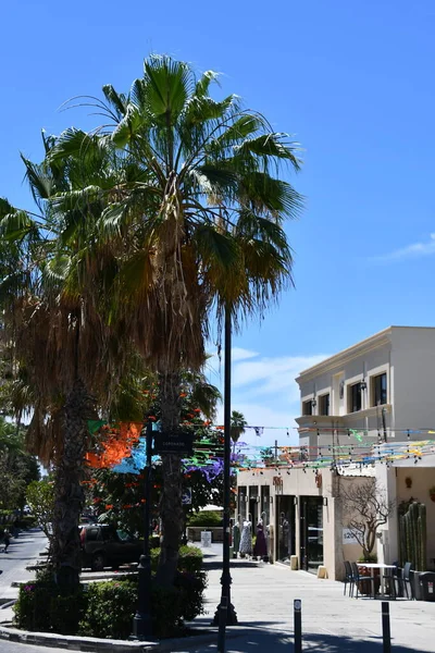 San Jose Del Cabo Mexico Apr Rond Stad San Jose — Stockfoto