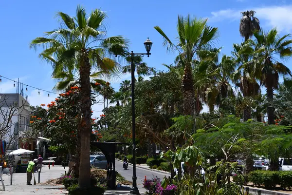 San Jose Del Cabo Mexico Kwiecień Dookoła Miasta San Jose — Zdjęcie stockowe