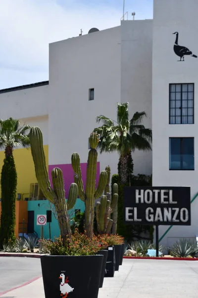 Сан Хосе Дель Кабо Мехико Apr Hotel Ganzo San Jose — стоковое фото