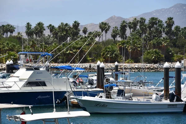 stock image SAN JOSE DEL CABO, MEXICO - APR 13: Marina in San Jose del Cabo, Mexico, as seen on April 13, 2023.