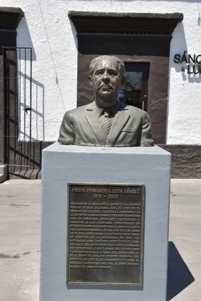 San Jose Del Cabo Mexico Apr Καθηγητής Fernando Cota Sandez — Φωτογραφία Αρχείου