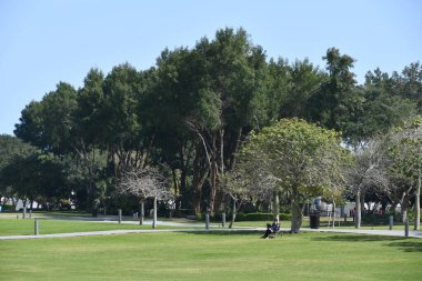 DOHA, Katar - 11 Şubat: 11 Şubat 2023 'te Katar' ın Doha kentinde görüldüğü gibi.