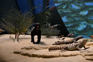 DOHA, Katar - 13 Şubat 2023 'te Katar' ın Doha kentindeki Ulusal Katar Müzesi.