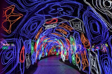 DUBAI, BAE - 19 Şubat: Dubai, BAE 'deki Dubai Garden Glow, 9 Şubat 2023.