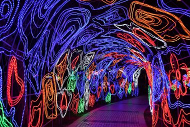 DUBAI, BAE - 19 Şubat: Dubai, BAE 'deki Dubai Garden Glow, 9 Şubat 2023.