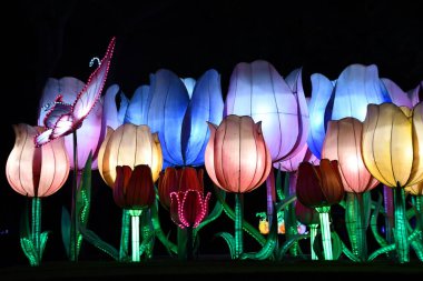 DUBAI, BAE - 19 Şubat: Dubai, BAE 'deki Dubai Garden Glow, 9 Şubat 2023.