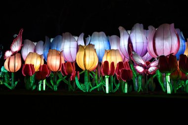 DUBAI, BAE - 19 Şubat: Dubai, BAE 'deki Dubai Garden Glow, 9 Şubat 2023.