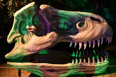 DUBAI, BAE - 19 Şubat 2023 'te Dubai, BAE' deki Dubai Garden Glow 'daki Dinozor Parkı.