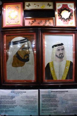 DUBAI BAE - 21 Şubat 2023 'te Dubai Kelebek Bahçesi' nde görüldüğü gibi.
