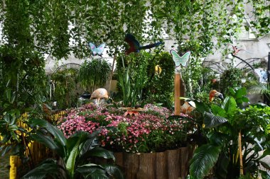 DUBAI BAE - 21 Şubat 2023 'te Dubai Kelebek Bahçesi' nde görüldüğü gibi.