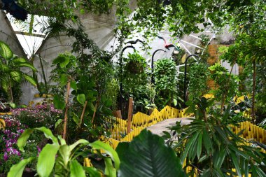 DUBAI BAE - 21 Şubat 2023 'te Dubai Kelebek Bahçesi' nde görüldüğü gibi.