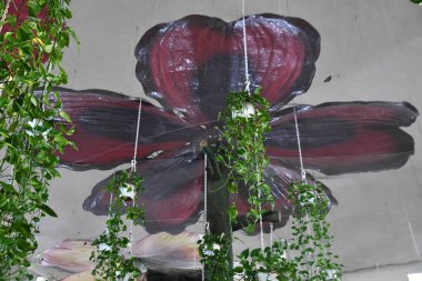 DUBAI BAE - 21 Şubat 2023 'te Dubai Kelebek Bahçesi' nde görüldüğü gibi.