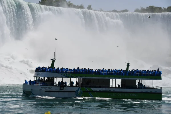 NIAGARA FALLS NY - 27 Mayıs 2023 'te ABD' nin Niagara Şelalesi 'nde görülen Sisli Turist teknesinin hizmetçisi.