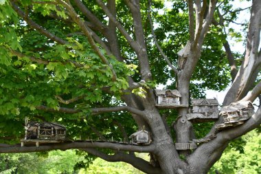 Niagara Şelalesi, Ontario, Kanada 'daki Floral Showhouse' da 28 Mayıs 2023 tarihinde görüldüğü üzere, Niagara Şelalesi 'nde bulunan Minyatür Köy.